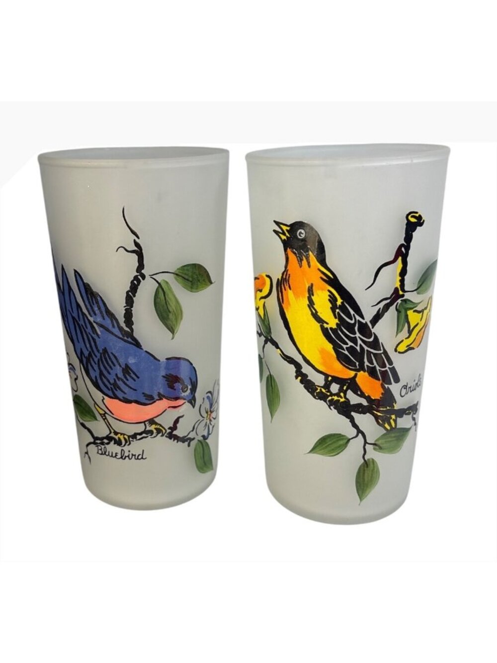 Vintage Frosted Glass Tumblers Bluebird & Oriole Hand Painted 5.5" Tall Set Of 2